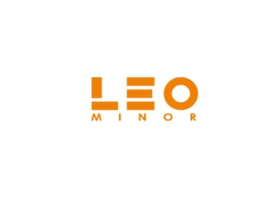 Leo Minor 